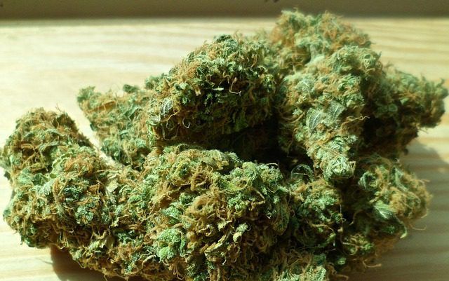 cannabis-448661_640