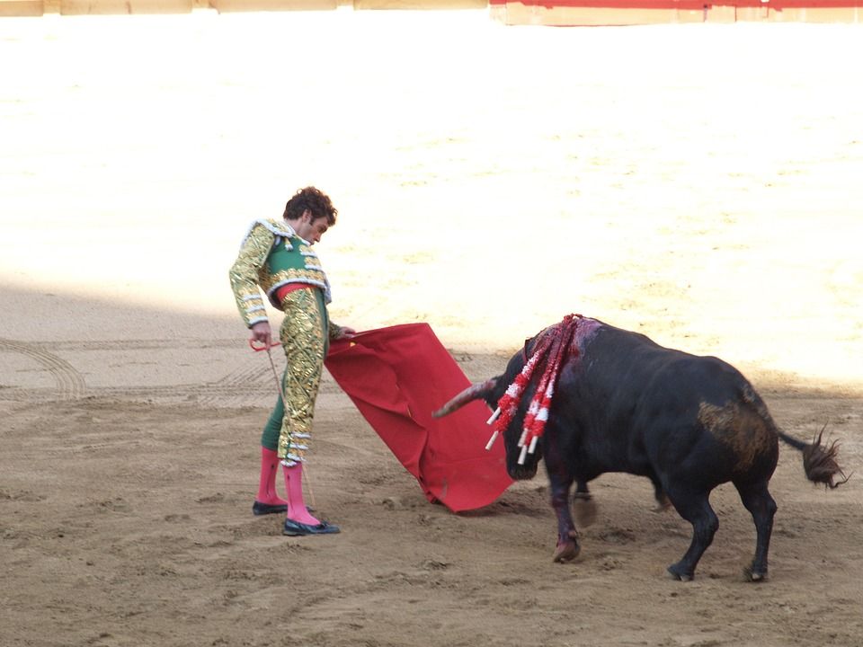 Torero