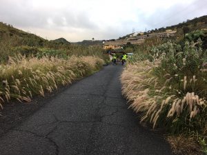 Labores En La Carretera De El Mayorazgo 2