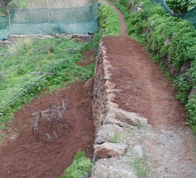 PR Anaga-Sendero Cueva del Lino (1)