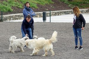 Trg 291218Parque Canino Sobradillo3