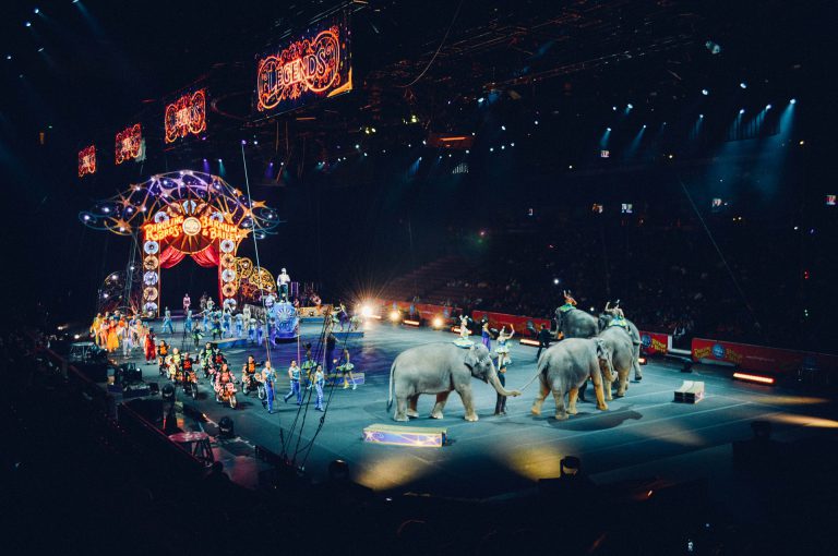 Los circos con animales se manifestarán el 6 de febrero para pedir a Carmena que no los prohíba en Madrid