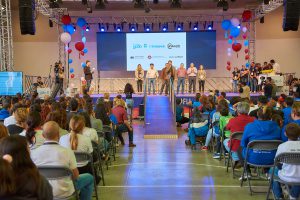 Fll Canarias 2019 Entrega