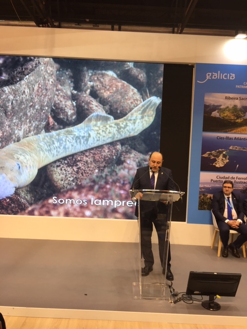 FITUR acoge la presentación de la LIX Fiesta de la Lamprea de Arbo y el Geodestino Condado Paradanta