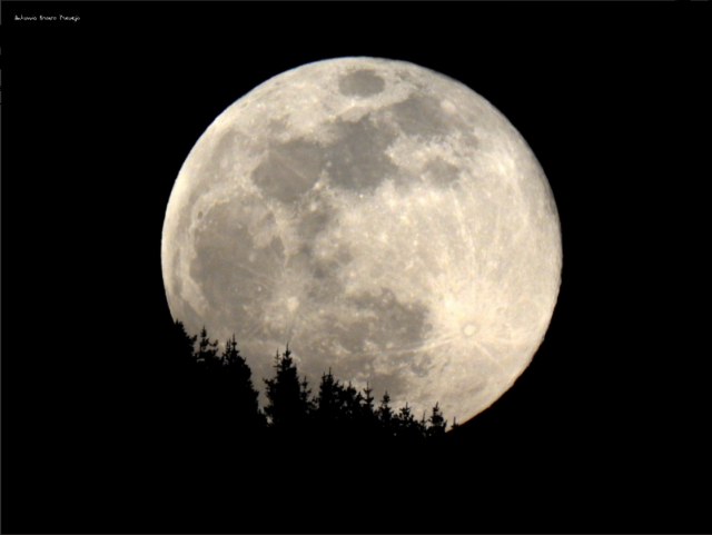 luna