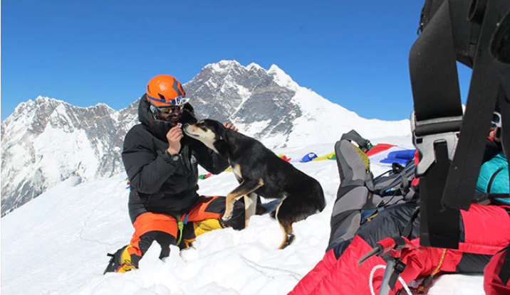 Un perro callejero sigue a un grupo de excursionistas y acaba escalando el Himalaya