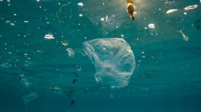 plásticos contaminación