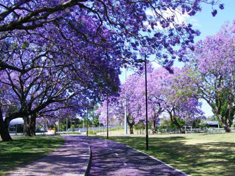 Primavera ‘loca’: de las heladas nocturnas a los 25ºC o más durante el día