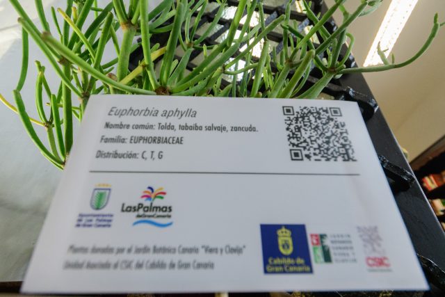 CASA TURISMO.JARD+ìN CANARIO - modelo etiqueta identificativa