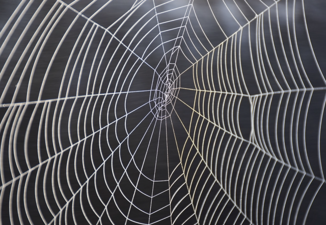 Captura de pantalla 2019 05 03 a las 11.15.57