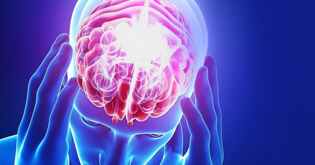 Cómo Hacer Que Tu Cerebro Prefiera La Fruta Al Chocolate 5 Cerebro