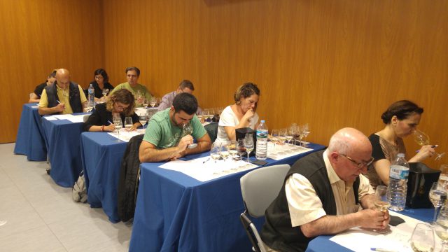 GastroCanarias 2018-I Concurso de catadores de vinos de Tenerife (33)