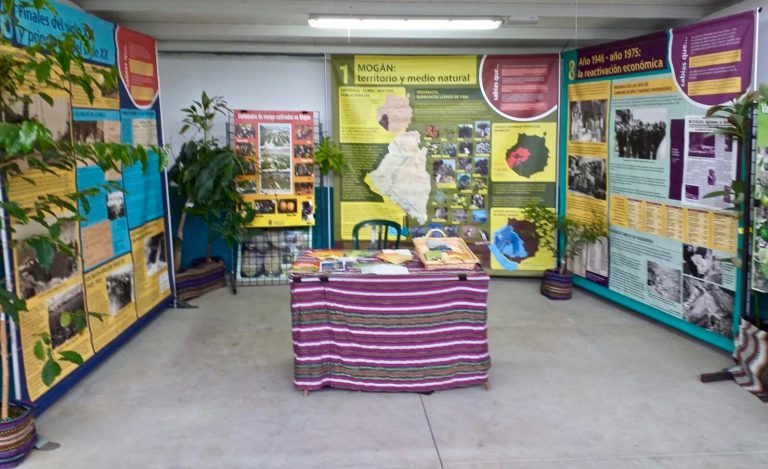La Consejería de Agricultura activa un plan especial para garantizar la actividad en el sector primario