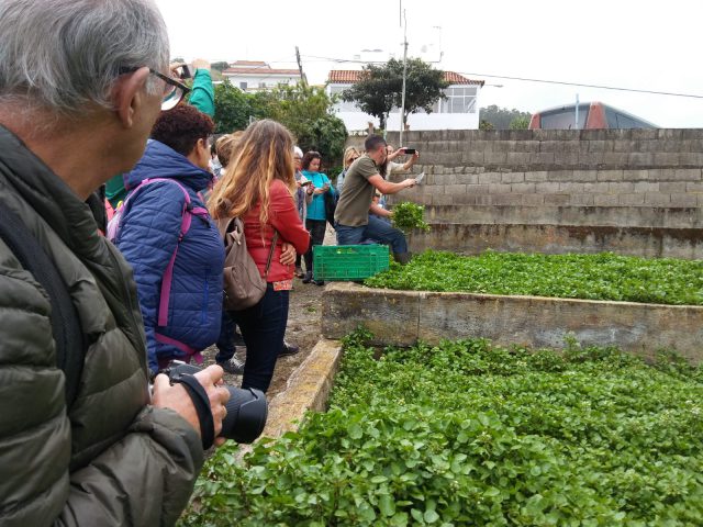 Varias De Las Personas Que Ha Disfrutado De Las Visitas Guiadas A Las Berreras Firguenses 2