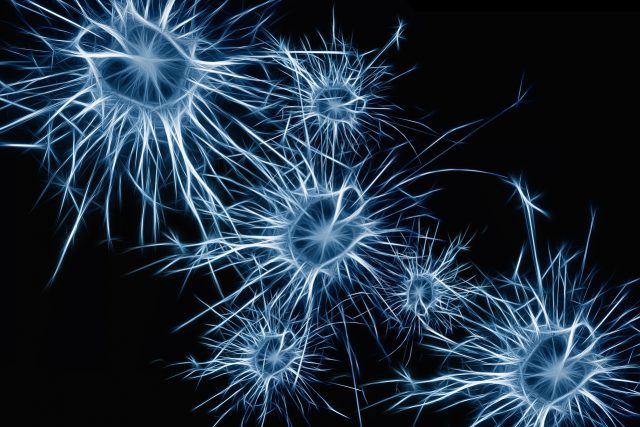 neurons-1773922_1280