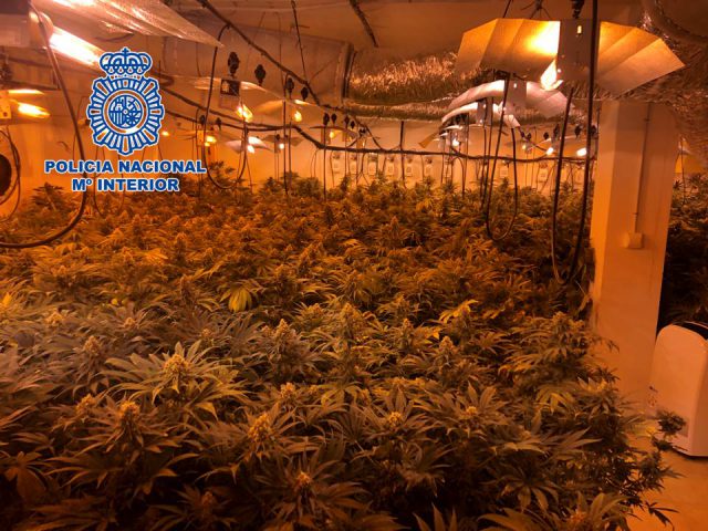plantacion-cannabis-durcal