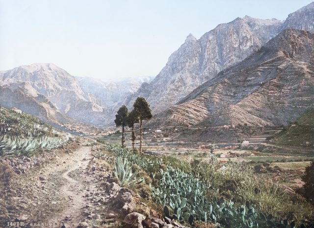 Imagen De 1930 Del Valle De Agaete. Foto Fedac