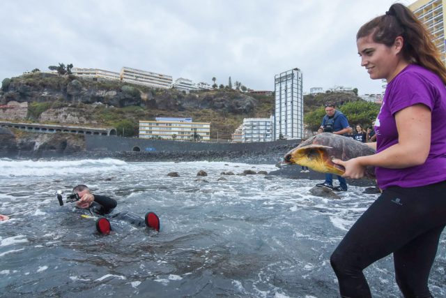 Loro Parque Fundación Celebra El Día Mundial De Los Océanos 2