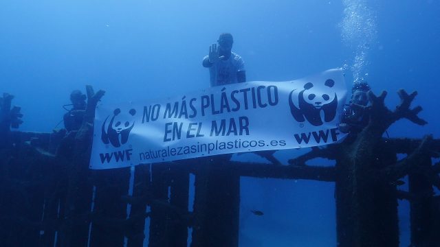 Museoatlántico Naturalezasin Plásticos 5Wwfespaña