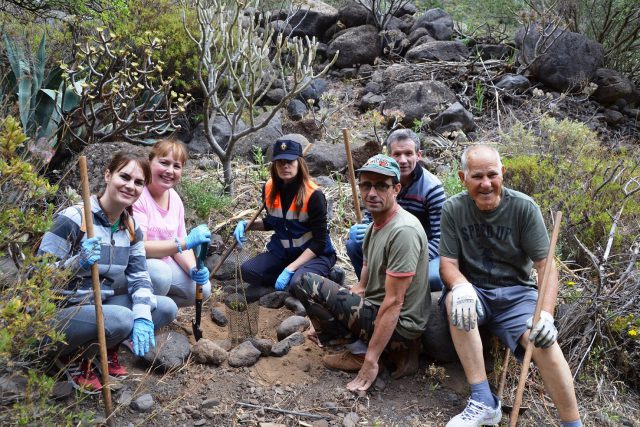 Plantacion Guayadeque Junio 2019 3