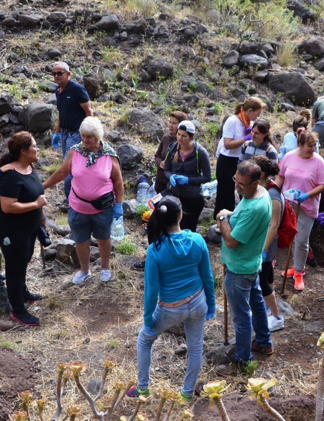 Plantacion Guayadeque Junio 2019 5