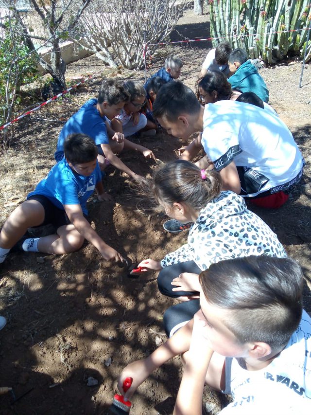 Taller Arqueología