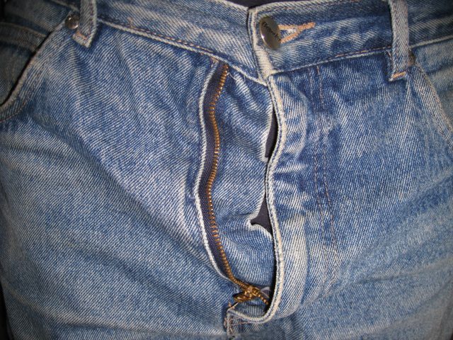 Fly (clothing)