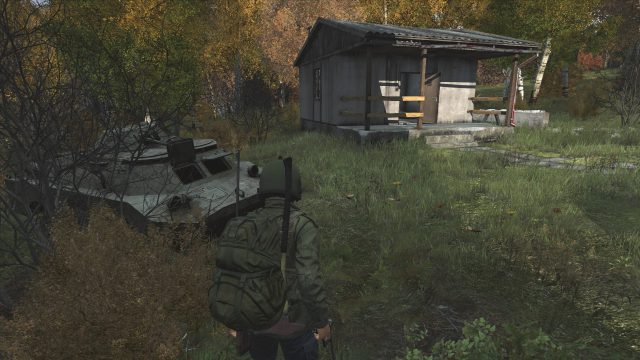 Dayz 3