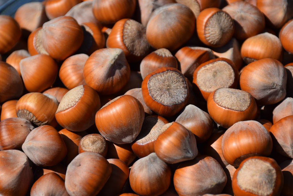 Hazelnut 3783066 1920