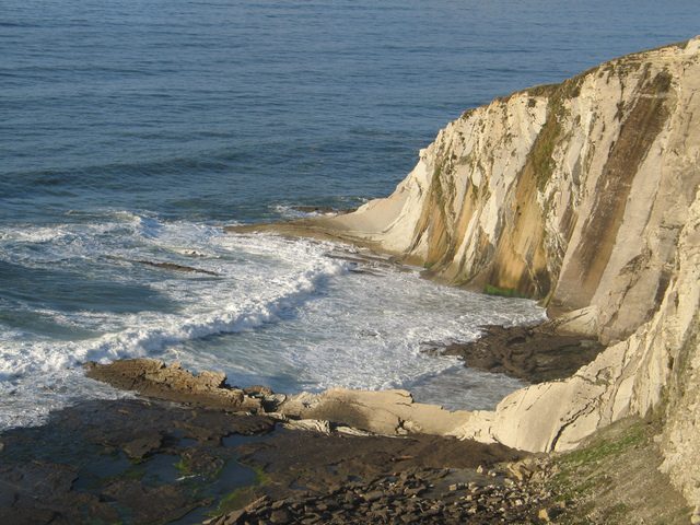 la galea