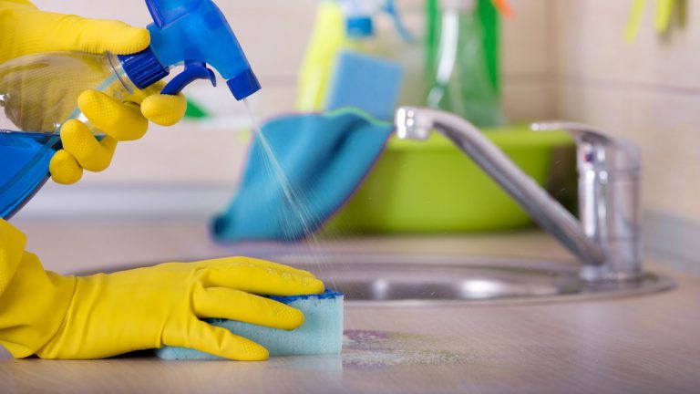 El Gobierno aprueba subsidios extraordinarios para empleadas de hogar y para temporales que terminen su contrato