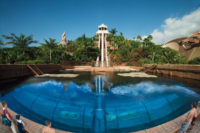 siam park tower of power 2