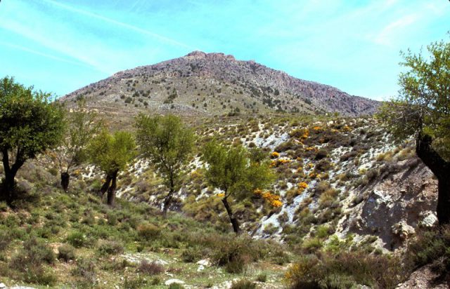 sierra-baza