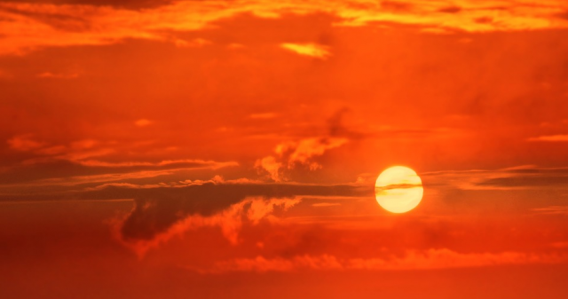 sol