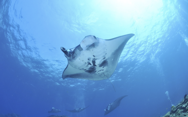 Captura de pantalla 2019 07 18 a las 14.35.44