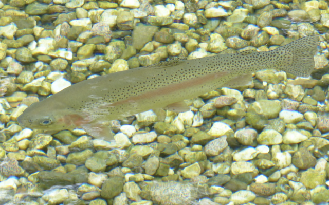 Captura de pantalla 2019 07 18 a las 14.39.24