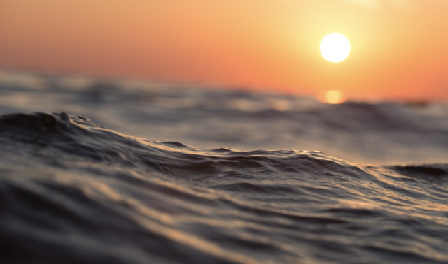 Captura de pantalla 2019 07 18 a las 14.41.16