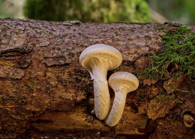 Captura de pantalla 2019 07 18 a las 14.43.01