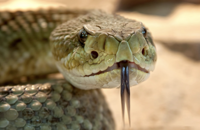 Captura de pantalla 2019 07 26 a las 15.47.01