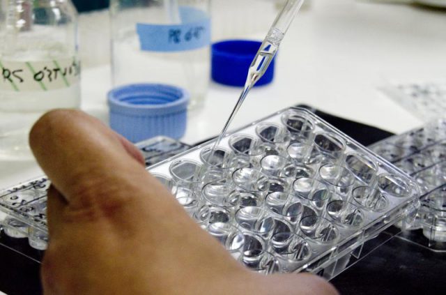 Laboratorio experimentos
