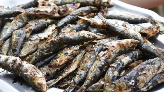 Sardinas
