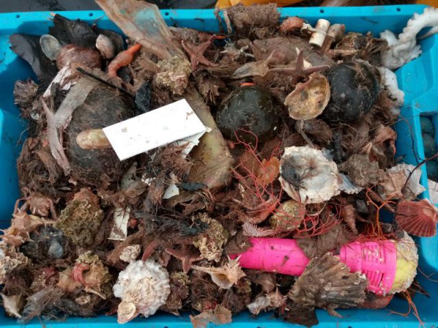 basura mar redes
