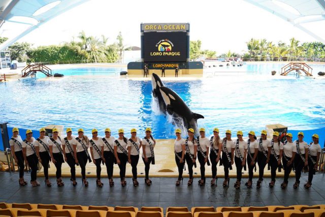 Miss Norte 2019 Loro Parque 02