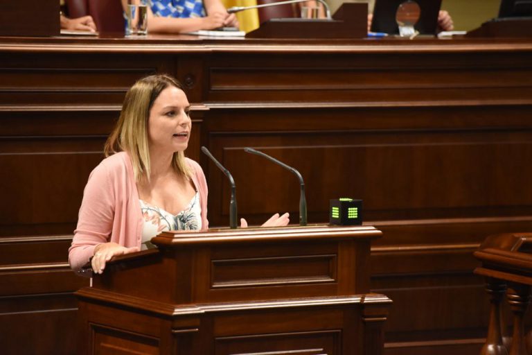 Canarias recibe 14 millones de euros para servicios sociales destinados a paliar la crisis generada por el COVID-19