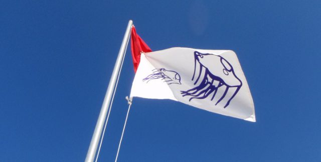 Bandera-Medusas