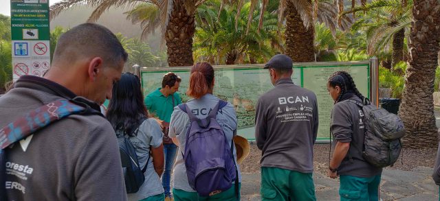 Curso Conocimiento Del Medio En El Jardín Canario