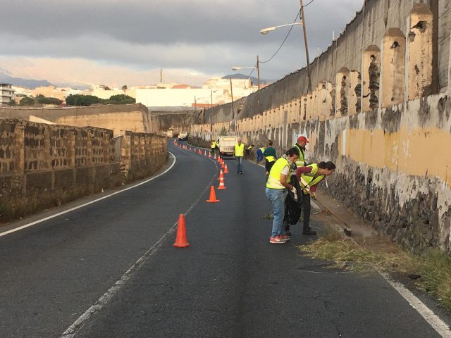 Desbroce En Los Márgenes De La Carretera De Melenara 2