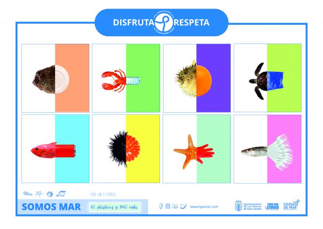 Mosaico_v2 disfruta respeta 2019