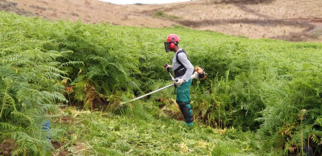 Un Participante Realiza Prácticas Con La Desbrozadora