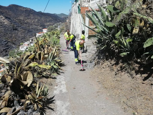 servicios4
